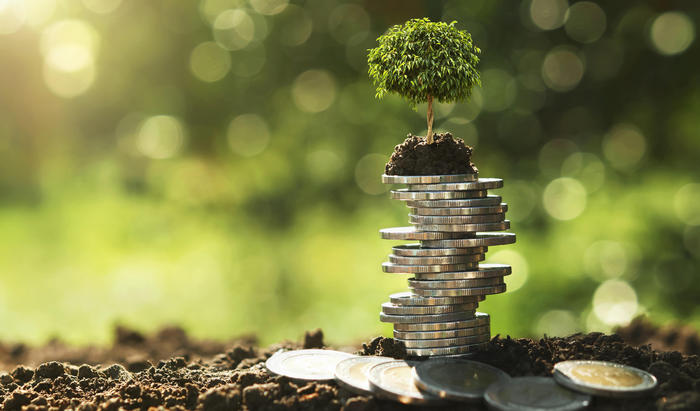 coins-tree